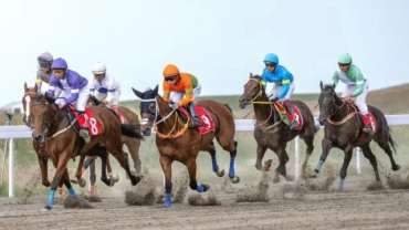 真飒！这个马上项目比赛收官