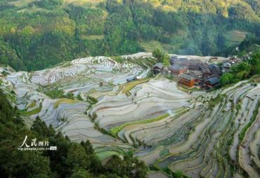 贵州从江：梯田如镜