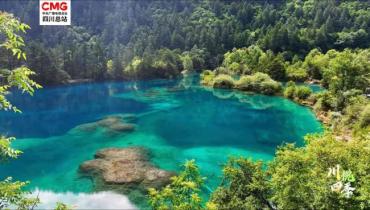 川悦四季｜碧水如镜映山岚 九寨夏至入画来