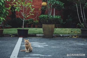 上海交大回应招5000名博士 扩招背后的隐忧与真相