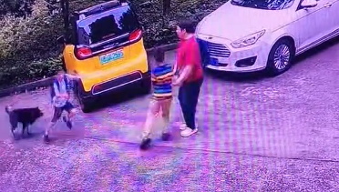 男孩被黑狗追赶，老人用书包奋力驱赶