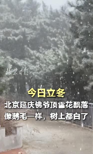 北京延庆佛爷顶雪花飘落 山区雨雪降温