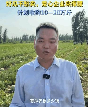 两倍的价格 我买100吨西瓜：爱心接力助农消暑