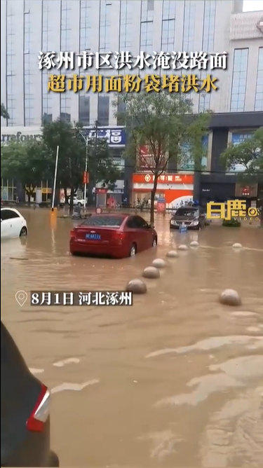 涿州一超市用面粉当沙袋堵洪水 网友：无奈之举
