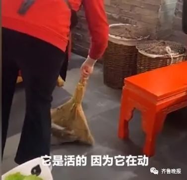 武汉知名火锅店天降老鼠砸到食客 要求顾客删除视频