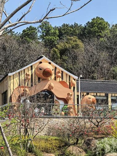 太湖植物园卡皮巴拉出逃 悬赏1万元 萌萌“越狱”引发全城搜寻