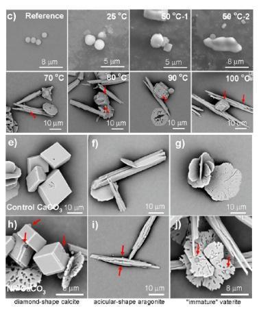 自己烧水喝和买桶装水哪种更健康 微塑料风险解析