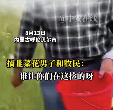男子爬进铁丝网进入牧民院子摘韭菜花