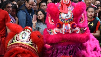 "La Casa del Dolor Ajeno" y la comunidad de los chinos en México