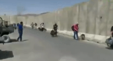 美军撤离阿富汗救狗不救人 视频曝光引众怒