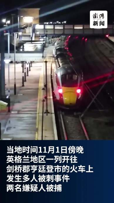 英国火车行凶案9人危殆