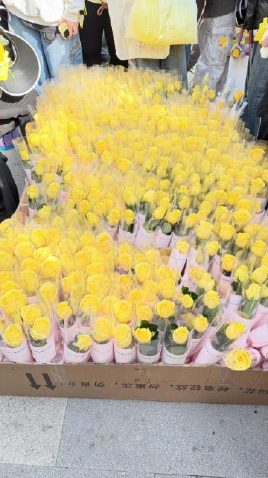 F1中国站人气有多高