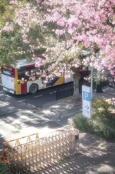 韩网友偷用广州街景当首尔 文化盗窃再引争议