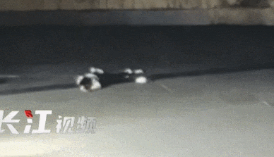 事发武汉闹市!女子一头栽倒在地突发休克 保安狂奔找医生