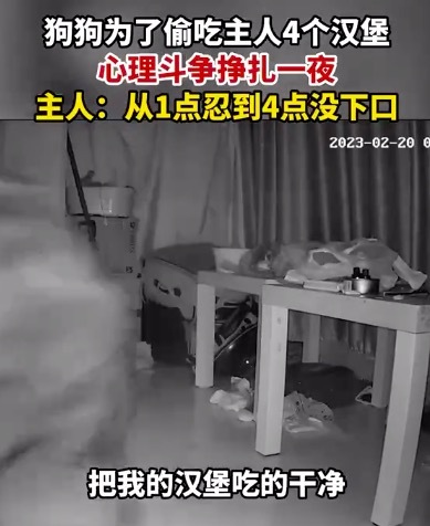 大S方回应将以法律维权