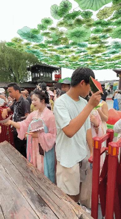 河南人用西瓜“甜”了全网