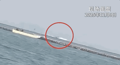 “等这次任务结束就结婚” 他食言了 海警英雄壮烈牺牲