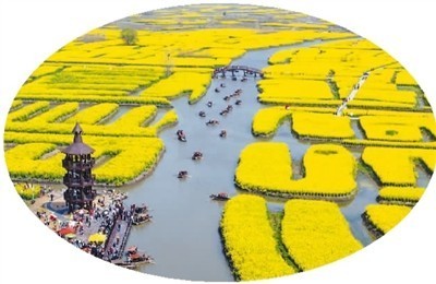 游客在江苏兴化千垛景区乘船观看油菜花。汤德宏摄（人民视觉）