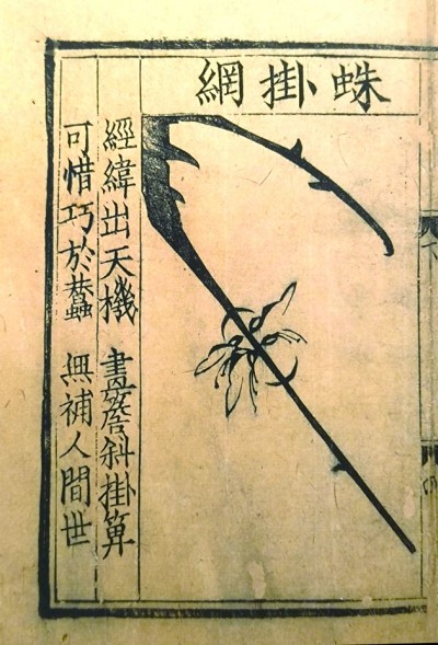 南宋宋伯仁的《梅花喜神谱》，描绘了梅花成长中的种种情态。资料图片