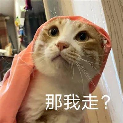 高中生必看的九科难度排名!谁是你的MVP!