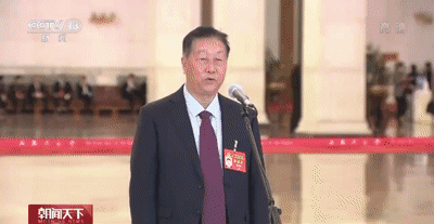 在党代表通道上,他谈起了这株“幸福草”