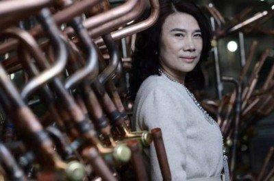 董明珠心中时时刻刻都想着中国 谈不去东南亚建厂的原因很戳人