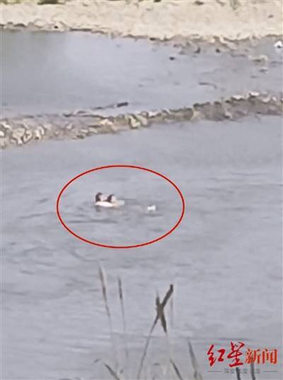 自贡跳水救人男子被找到，曾是冬泳协会成员