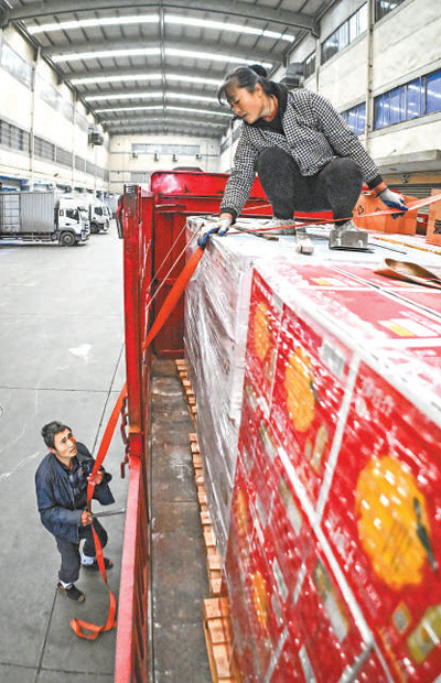 男子開車一千多公里回家過年 千里歸途只為團圓