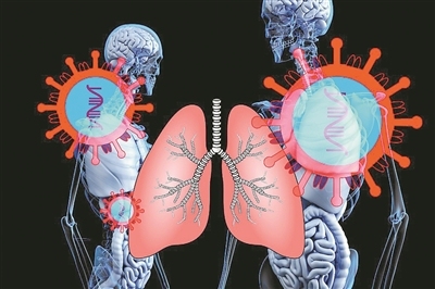微型肺类器官可批量生产 或将改变未来肺病研究方式