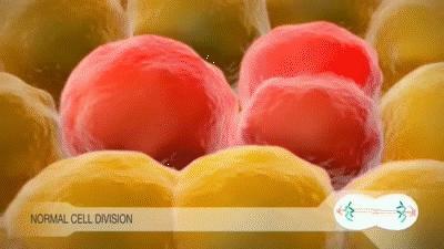 6种食物被证实“促癌”