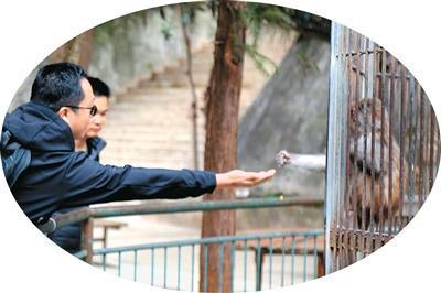 凯里动物园靠什么走红 用心经营赢得游客心