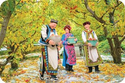 中国苹果为什么又多又好吃 科技与政策双重赋能