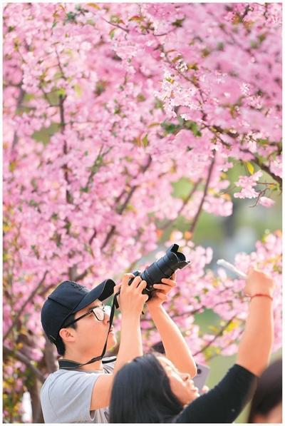 Colorwalk怎么火了 色彩漫步成春游新宠