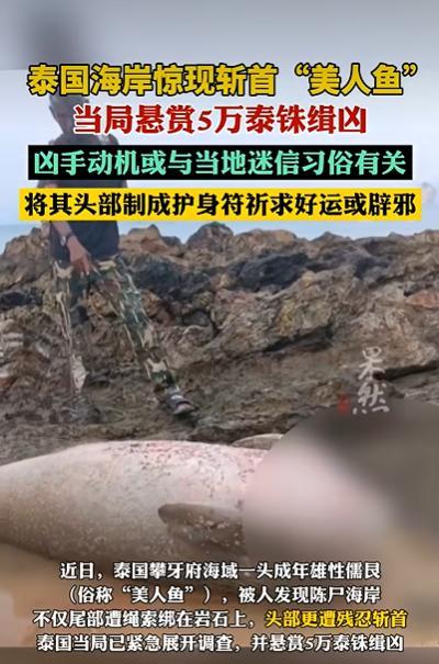泰国海岸现被斩首“美人鱼” 残忍行为引发调查
