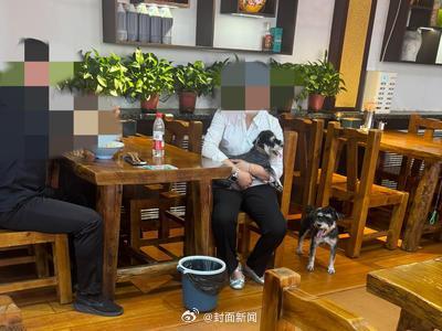 面馆因劝阻带宠物进店遭连续差评