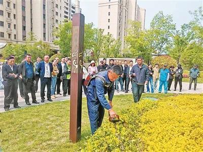 青岛城阳:精管细护提品质,描绘宜居宜业新画卷