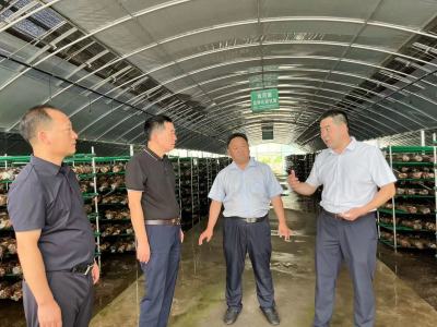 统战宣传基层行 | 陕西旬阳：创新开展“乡贤统战”工作