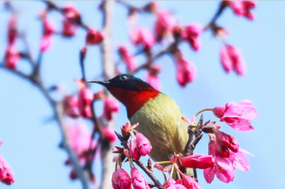 立春，到底“立”什么？