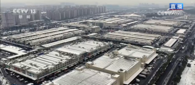 “年货消费”活力充沛激发经济增长新动能