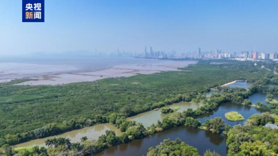 自然资源部：2025年南海区海洋生态状况稳定