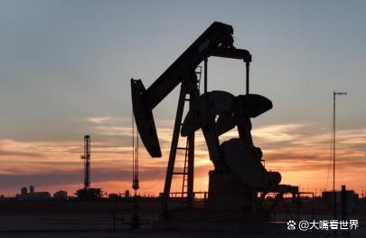 印度总理谈印度战略石油储备 能源安全引发质疑