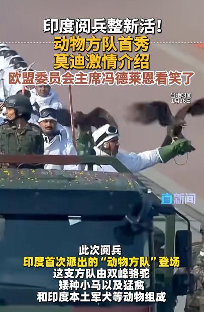 印度阅兵莫迪与冯德莱恩一同检阅 动物方队首亮相