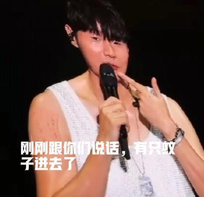 李荣浩演唱会讲话时嘴里进了只蚊子！人那么多，蚊子为什么选了他……