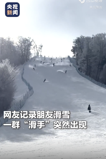 滑雪时身后突然冲出一群高手 雪中御剑飞行