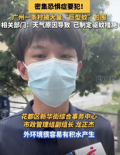 廣州一條村被大量巨型蚊包圍：光打掃蚊子的尸體，都要拿碗來裝