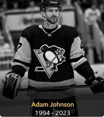 英国冰球运动员遭冰刀割喉不幸离世残酷冰雪运动