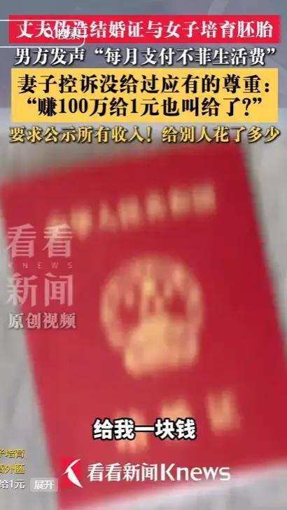 婚外胚胎案当事人讲述被出轨经过 真相背后的复杂内幕
