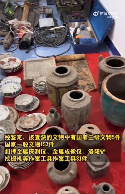 男子为盗古墓先种庄稼