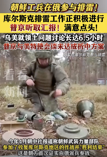 朝鲜参与俄罗斯排雷工作