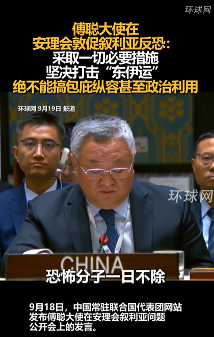 傅聪大使在安理会敦促叙利亚反恐 不容纵容和利用